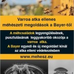 Bayer