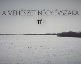 Hírkép-4 évszak-tél